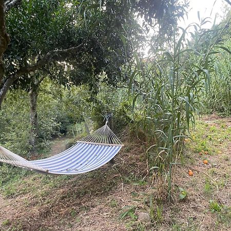 Nascente, Place In Nature Next To A Waterfall Loureiro  ภายนอก รูปภาพ