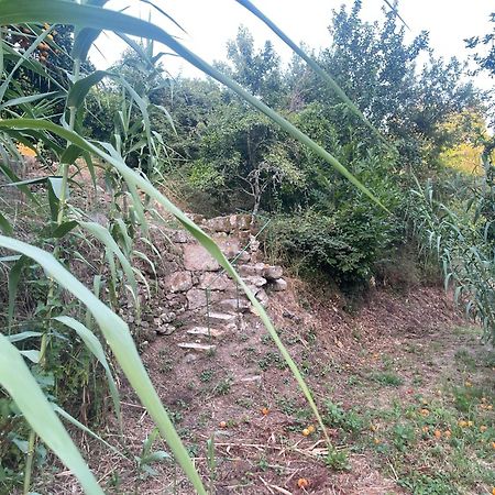 Nascente, Place In Nature Next To A Waterfall Loureiro  ภายนอก รูปภาพ