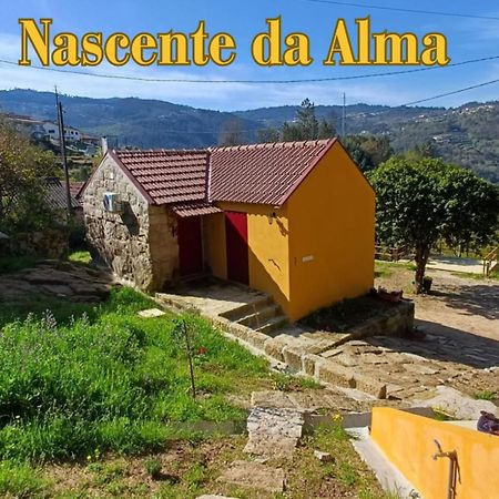 Nascente, Place In Nature Next To A Waterfall Loureiro  ภายนอก รูปภาพ