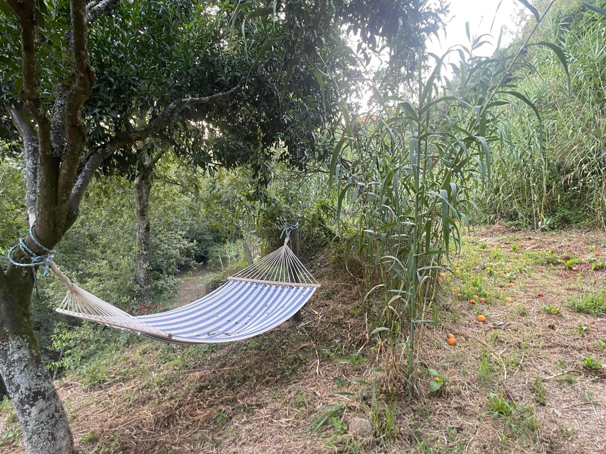 Nascente, Place In Nature Next To A Waterfall Loureiro  ภายนอก รูปภาพ