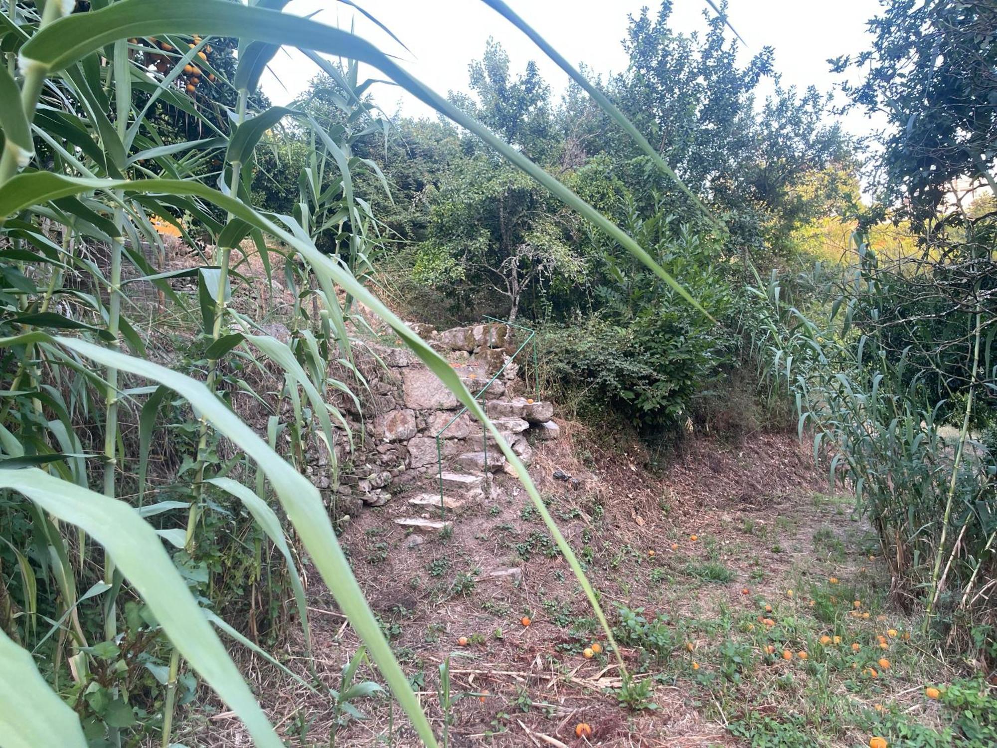 Nascente, Place In Nature Next To A Waterfall Loureiro  ภายนอก รูปภาพ