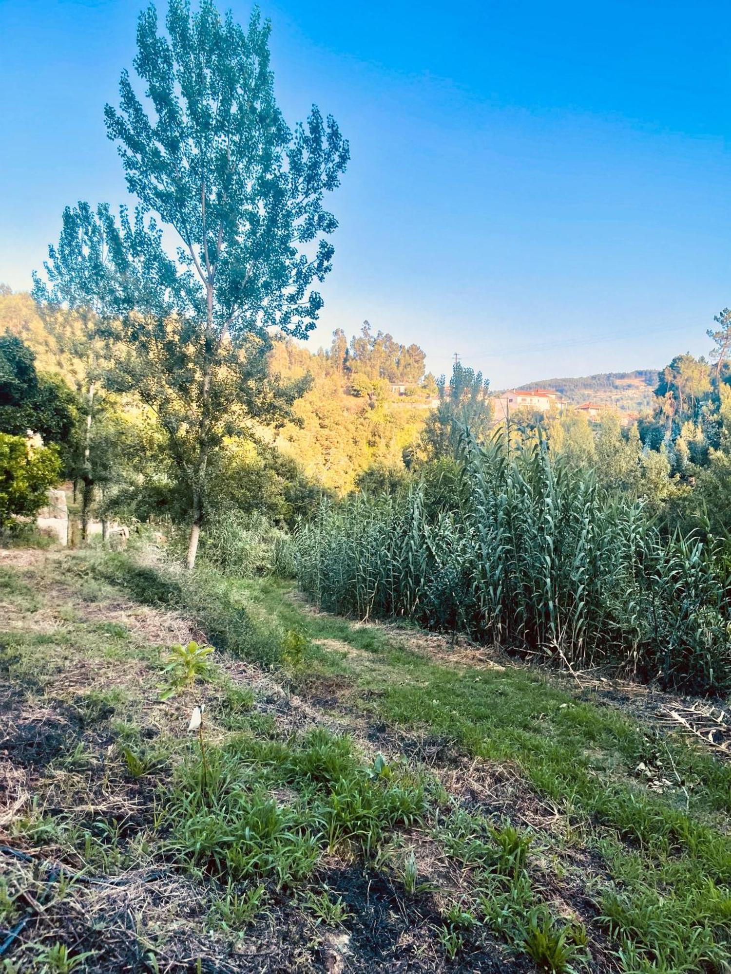 Nascente, Place In Nature Next To A Waterfall Loureiro  ภายนอก รูปภาพ