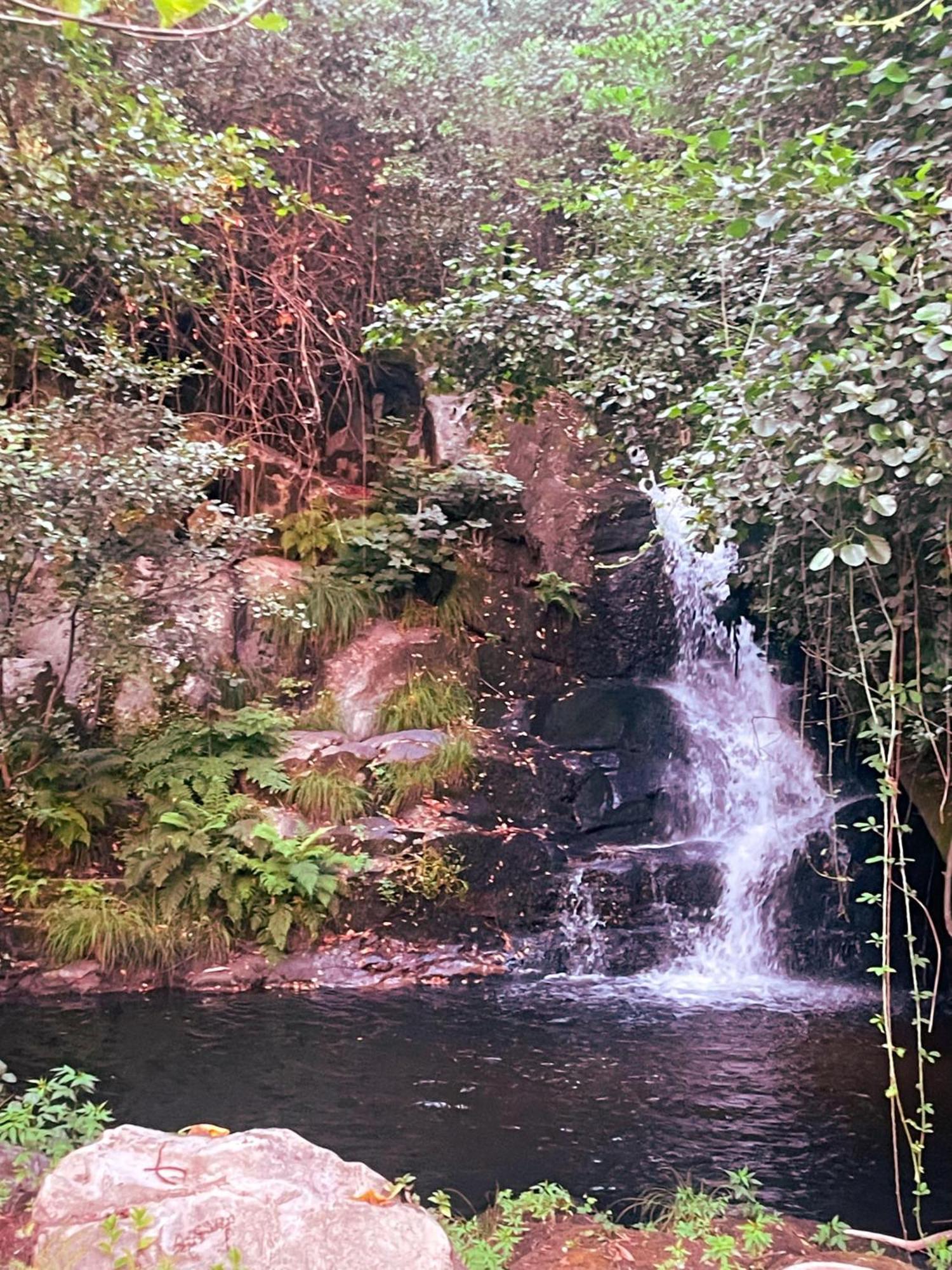 Nascente, Place In Nature Next To A Waterfall Loureiro  ภายนอก รูปภาพ